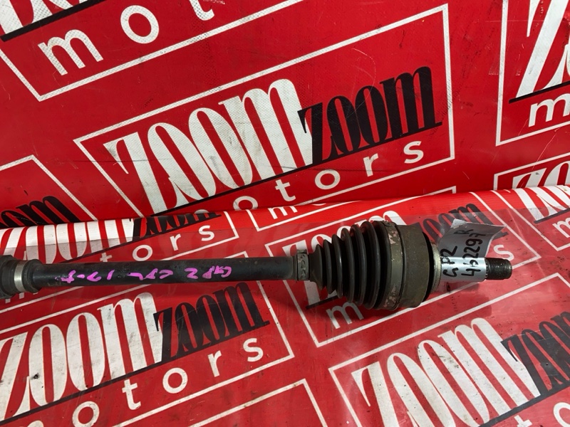 Привод, 1900 рублей, Солонцы