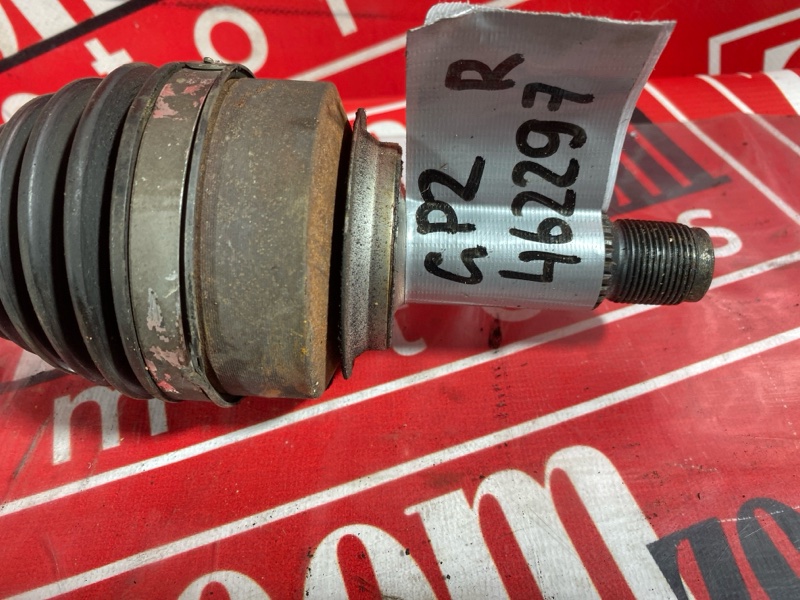 Привод, 1900 рублей, Солонцы