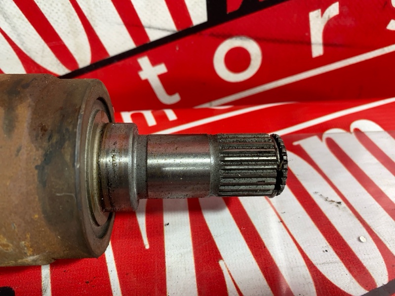 Привод, 1900 рублей, Солонцы