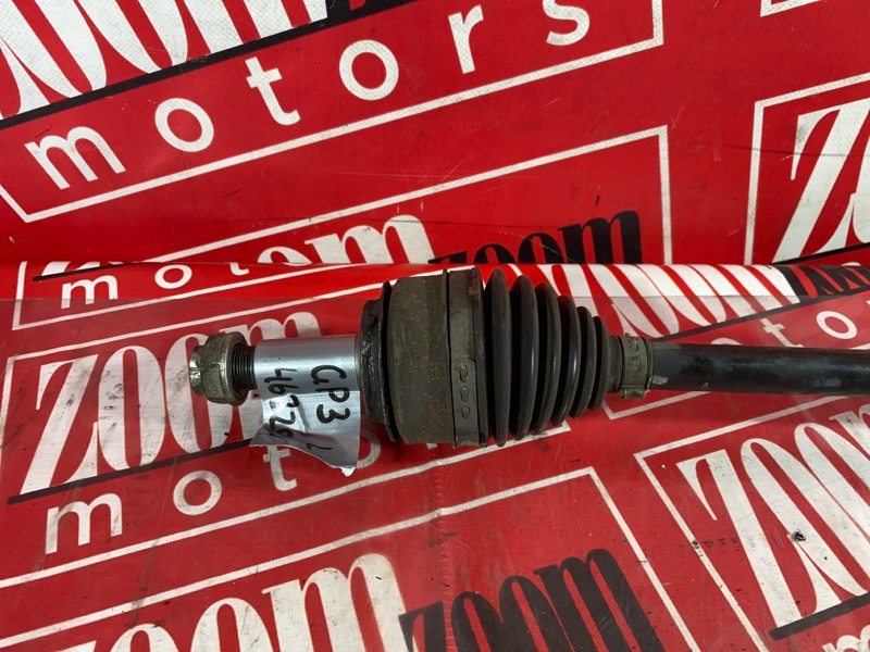 Привод, 1900 рублей, Солонцы