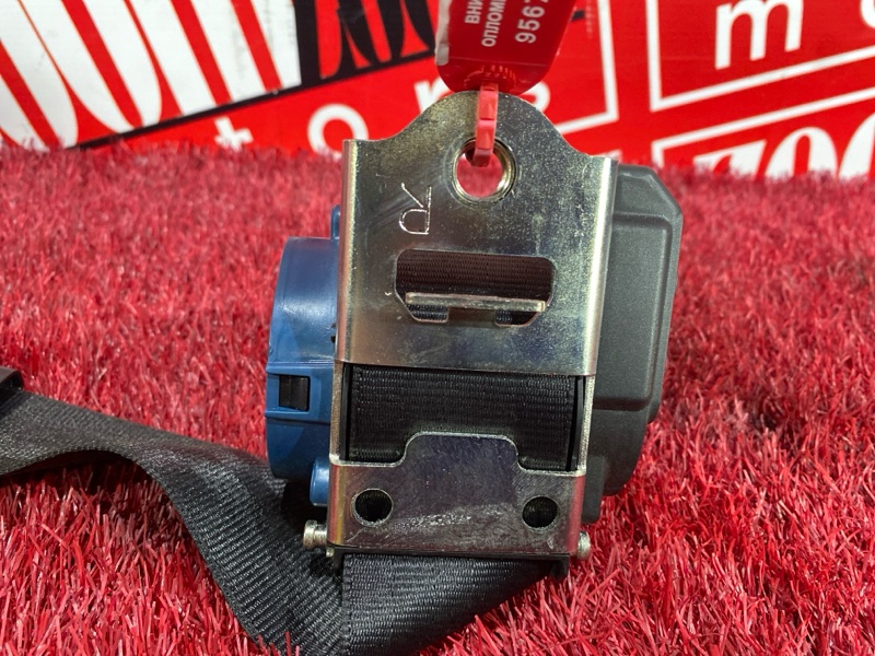 Ремень безопасности, 2000 рублей, Солонцы