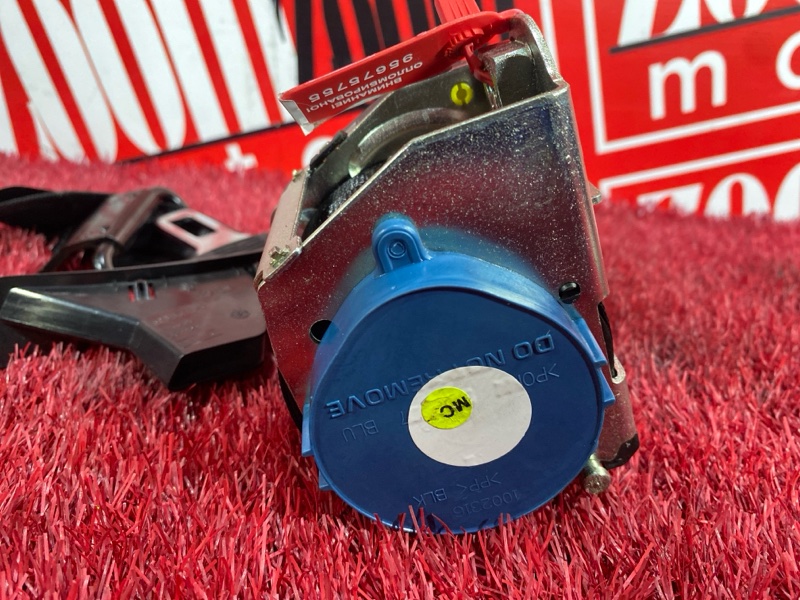 Ремень безопасности, 2000 рублей, Солонцы