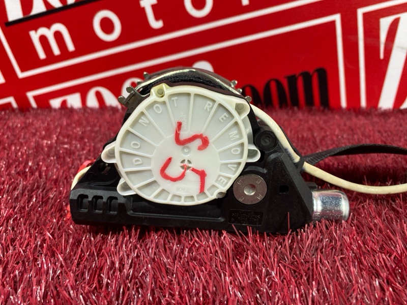 Ремень безопасности, 4000 рублей, Солонцы