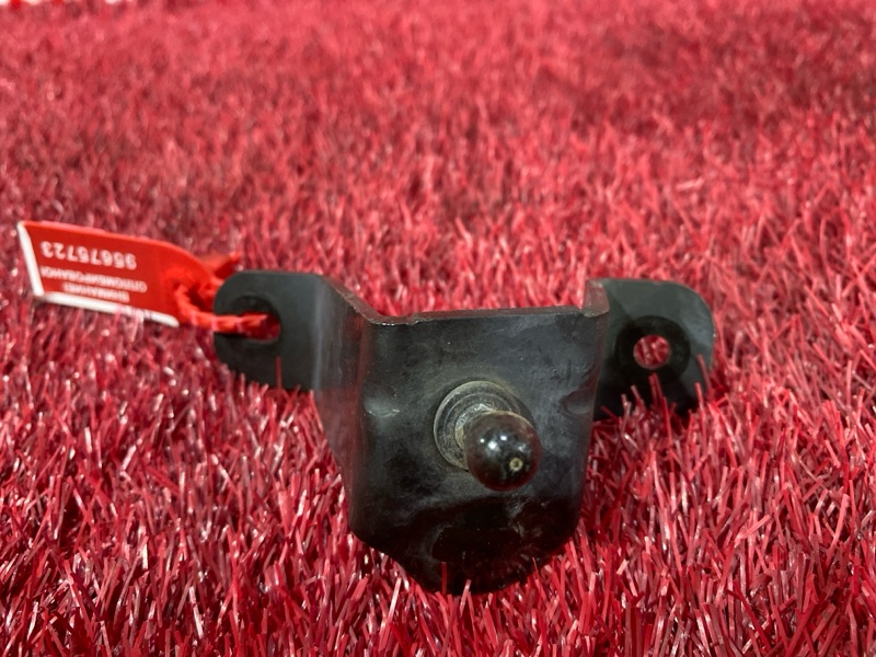 Кронштейн, 500 рублей, Солонцы