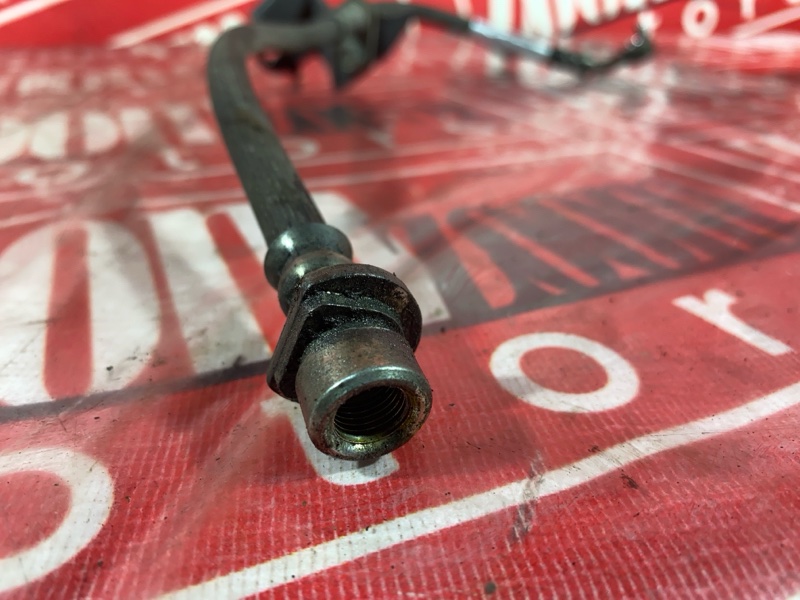 Шланг тормозной, 300 рублей, Солонцы