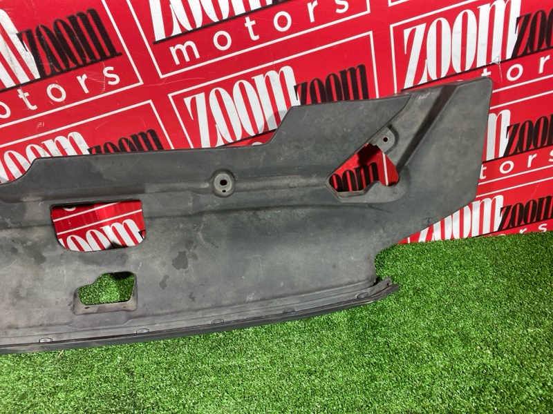 Накладка на решетку радиатора, 1000 рублей, Солонцы