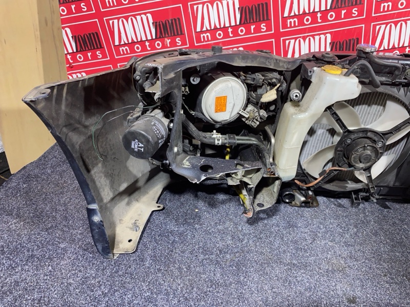 Nose cut, 42000 рублей, Солонцы