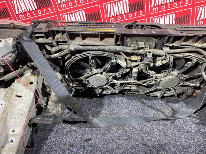 Nose cut, 38000 рублей, Солонцы