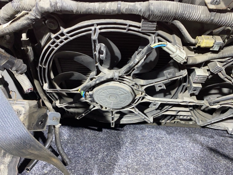 Nose cut, 38000 рублей, Солонцы