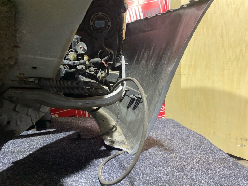 Nose cut, 38000 рублей, Солонцы