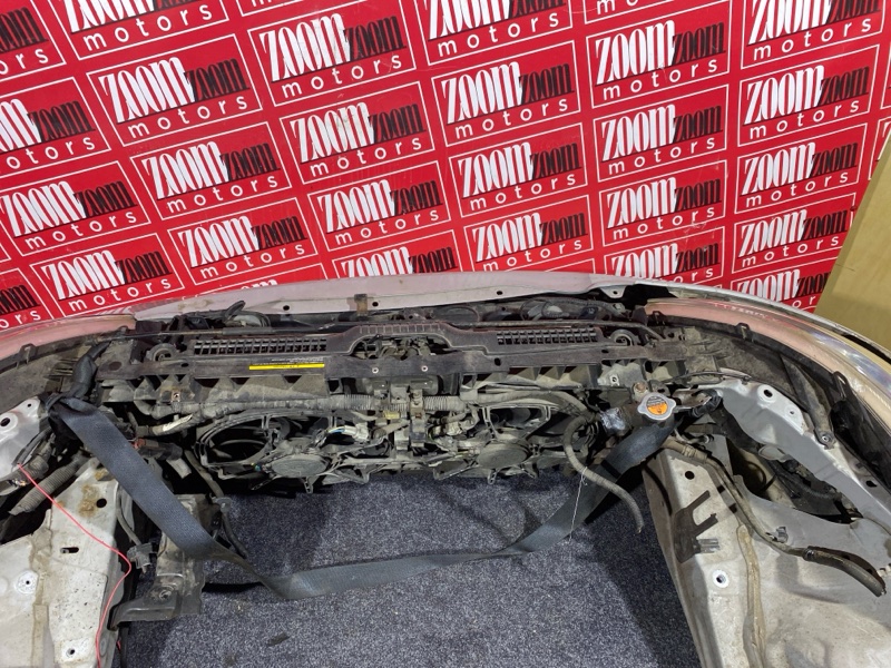 Nose cut, 38000 рублей, Солонцы