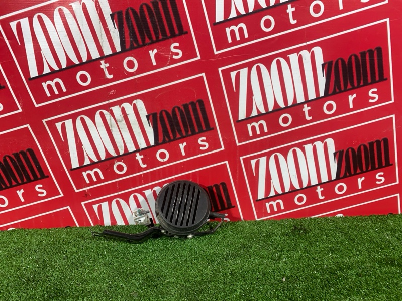 Сигнал, 1000 рублей, Солонцы