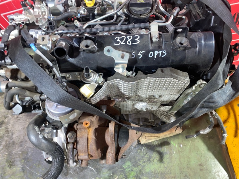 Двигатель, 83600 рублей, Солонцы