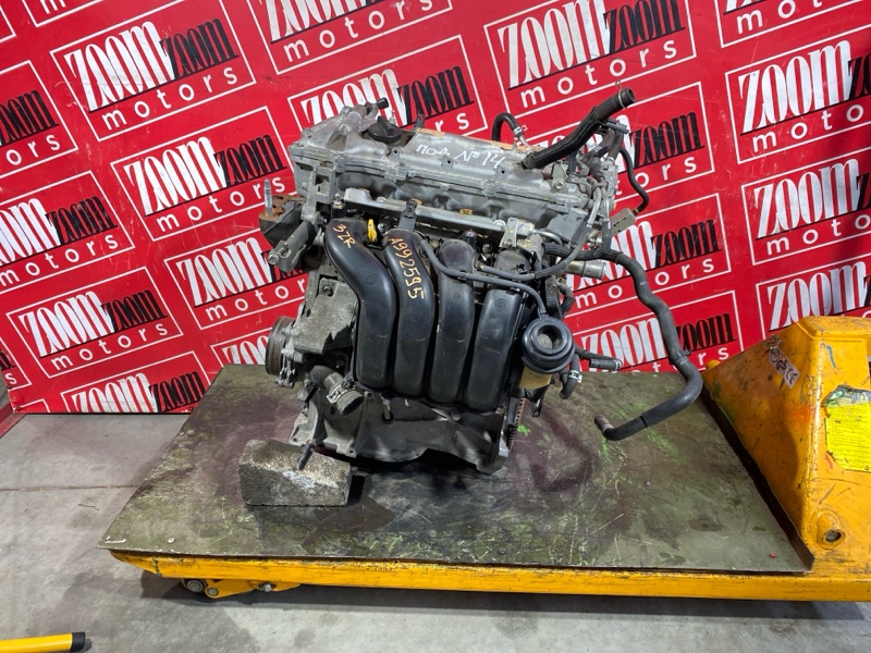 Двигатель, 47500 рублей, Солонцы