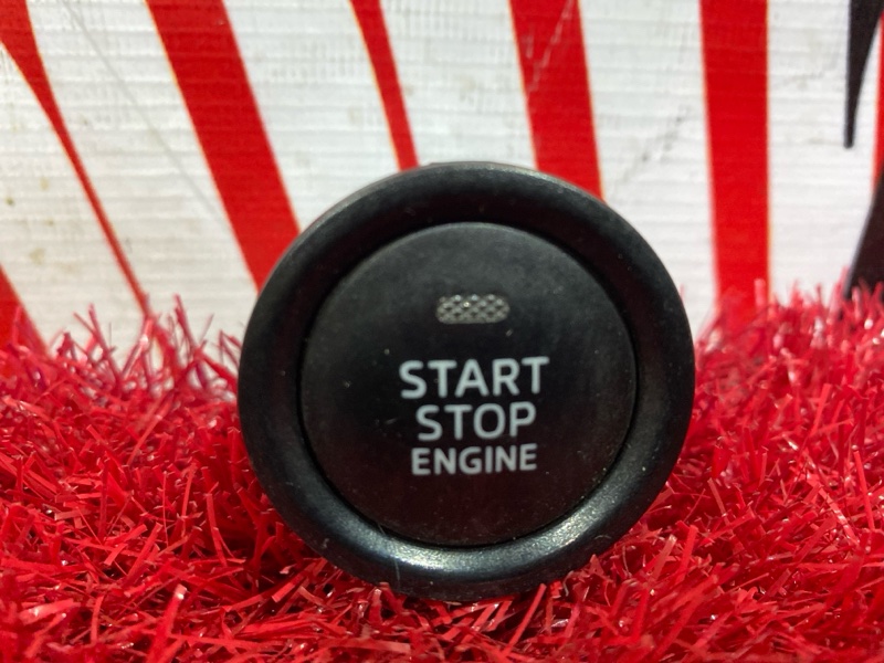 Кнопка старт-стоп, 1000 рублей, Солонцы