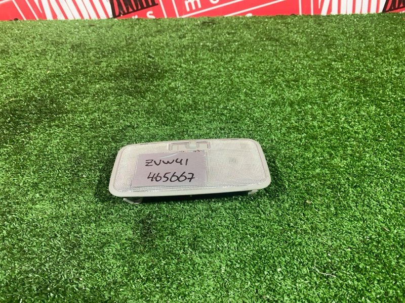 Плафон (подсветка салона), 500 рублей, Солонцы