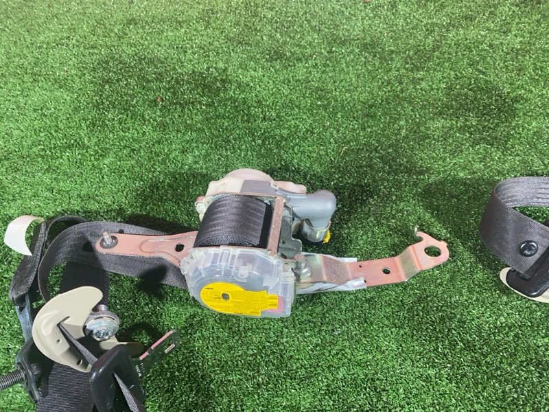 Ремень безопасности, 2400 рублей, Солонцы