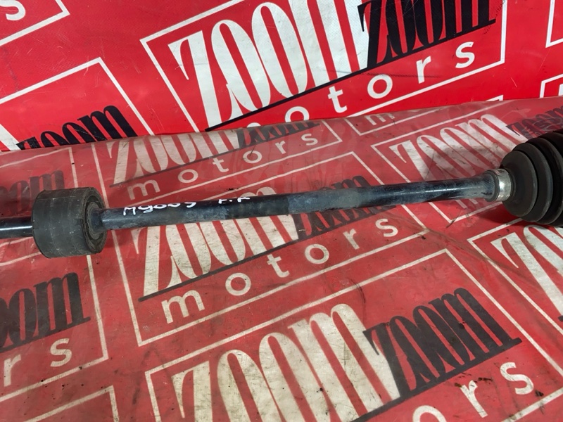 Привод, 5000 рублей, Солонцы