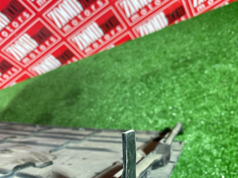 Защита ДВС, 1000 рублей, Солонцы