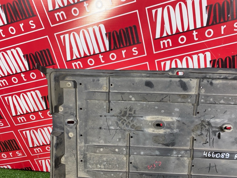 Защита ДВС, 1000 рублей, Солонцы