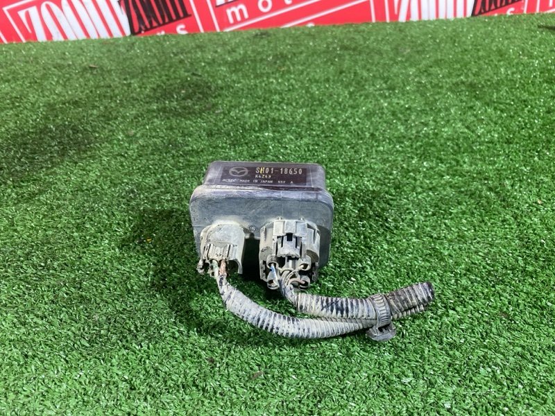 Реле, 1000 рублей, Солонцы