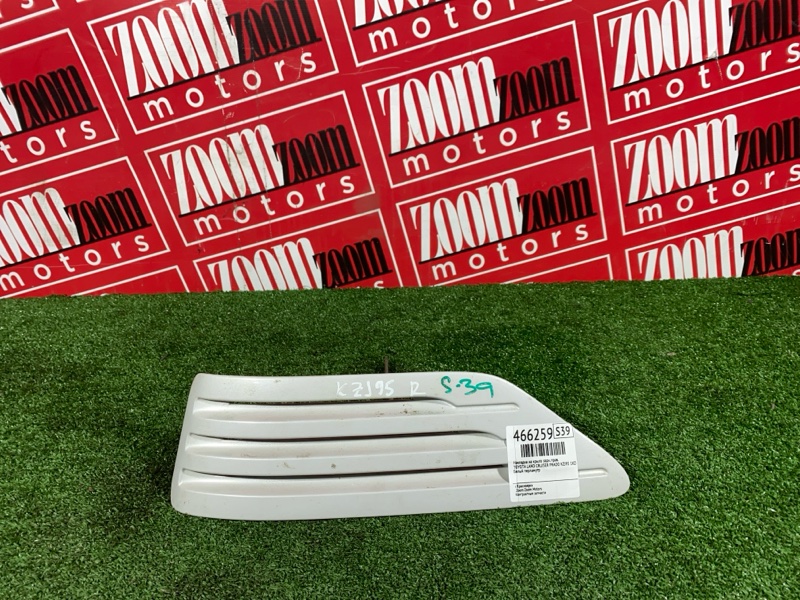 Накладка на крыло, 300 рублей, Солонцы