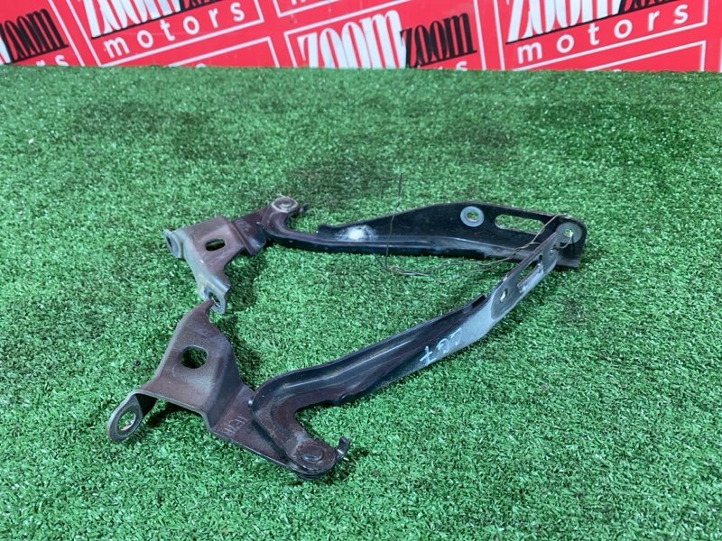 Петля (Шарнир капота), 2400 рублей, Солонцы