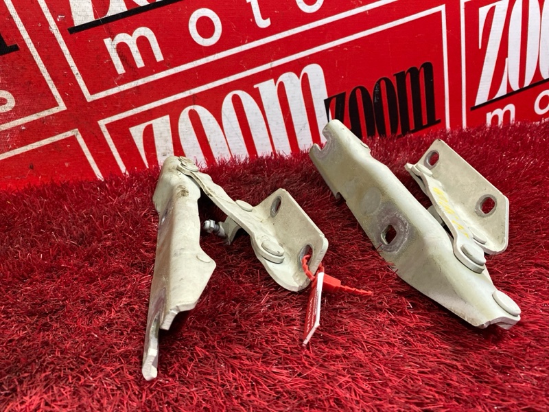 Петля (Шарнир капота), 600 рублей, Солонцы