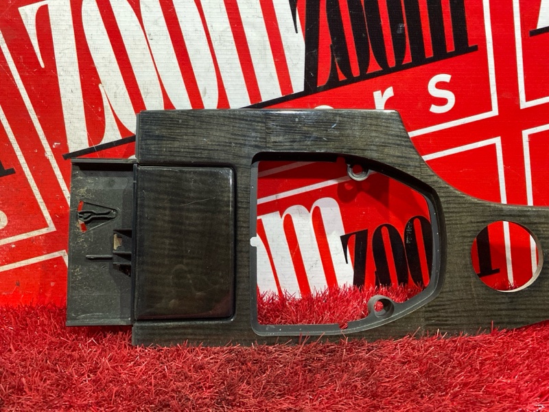 Накладка консоли, 1000 рублей, Солонцы