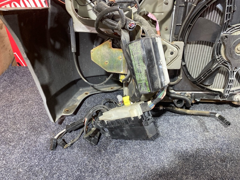 Ноускат, 32000 рублей, Красноярск