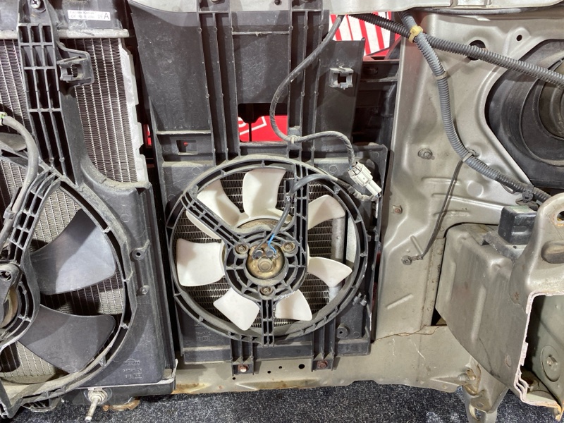 Ноускат, 32000 рублей, Красноярск