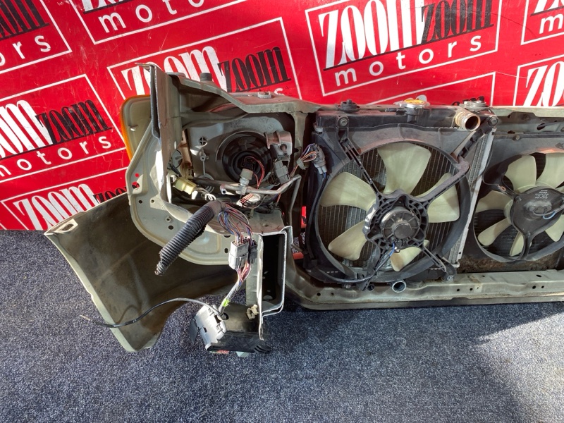 Ноускат, 38000 рублей, Красноярск