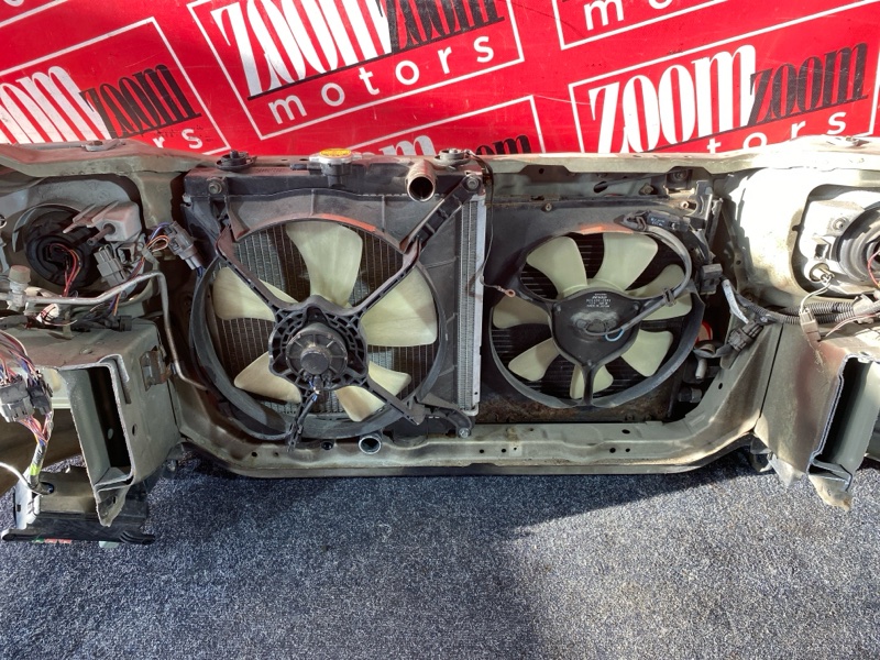 Ноускат, 38000 рублей, Красноярск