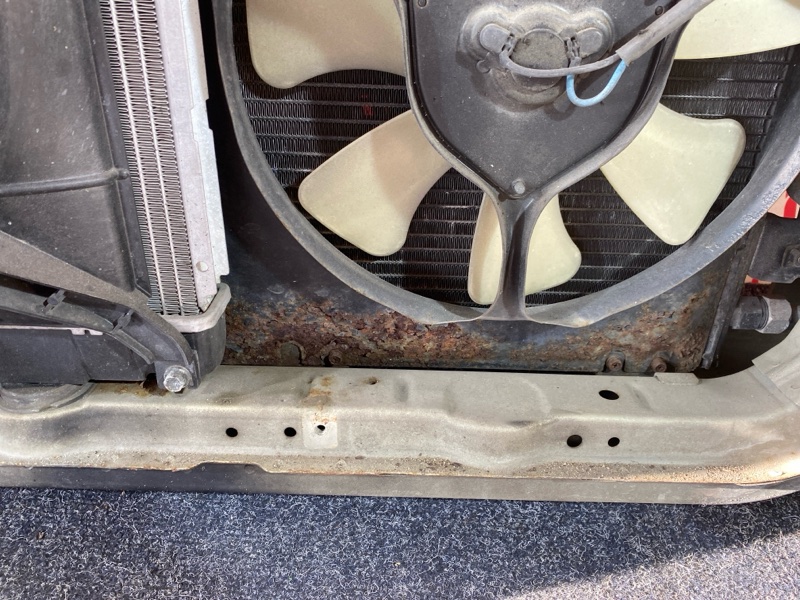 Ноускат, 38000 рублей, Красноярск