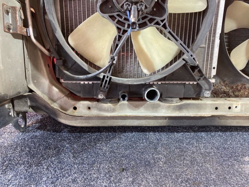 Ноускат, 38000 рублей, Красноярск