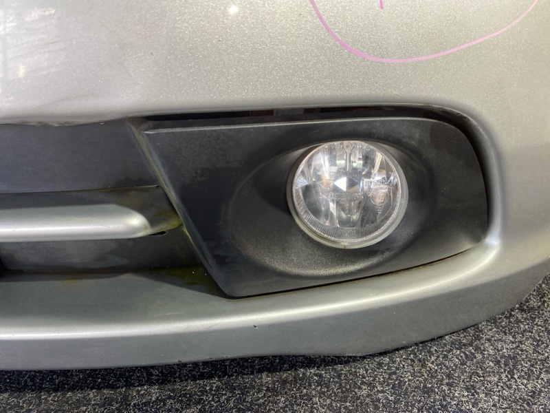 Ноускат, 45000 рублей, Красноярск