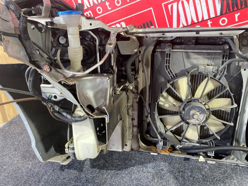 Ноускат, 45000 рублей, Красноярск