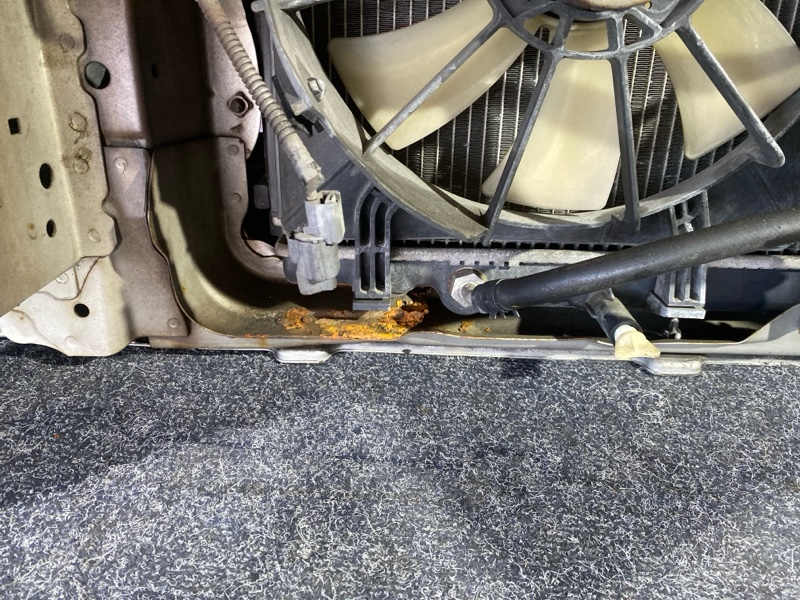 Ноускат, 45000 рублей, Красноярск