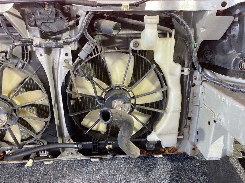 Ноускат, 45000 рублей, Красноярск