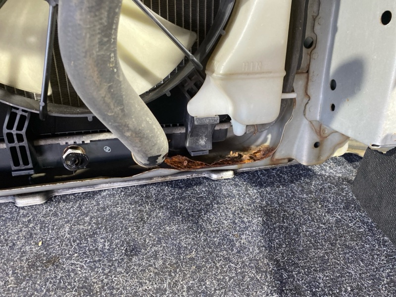 Ноускат, 45000 рублей, Красноярск