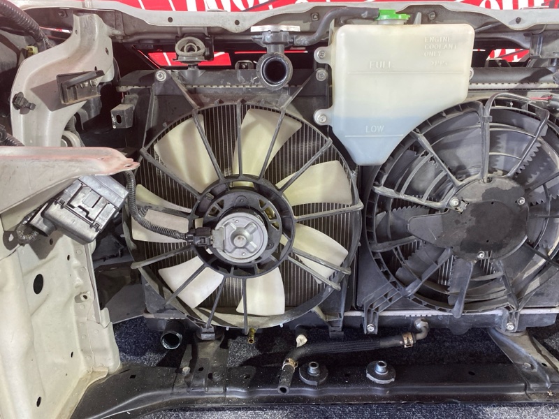 Ноускат, 65000 рублей, Красноярск