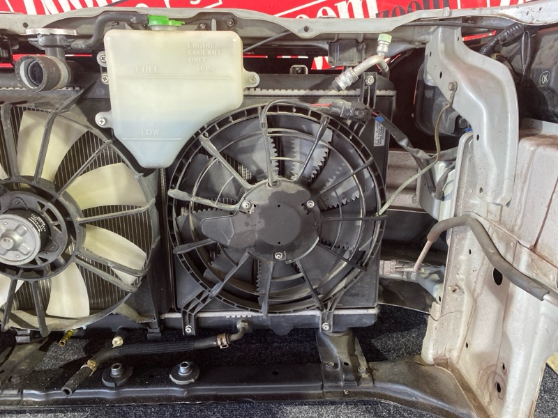 Ноускат, 65000 рублей, Красноярск