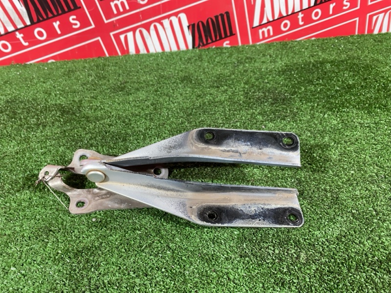 Петля (Шарнир капота), 500 рублей, Солонцы