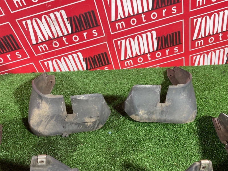 Брызговик, 1000 рублей, Солонцы