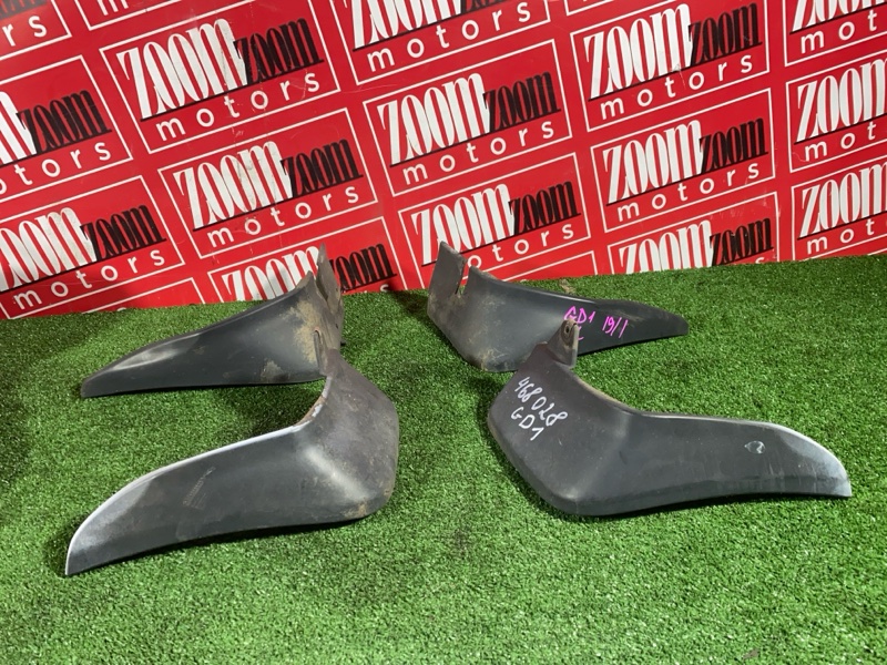 Брызговик, 1000 рублей, Солонцы