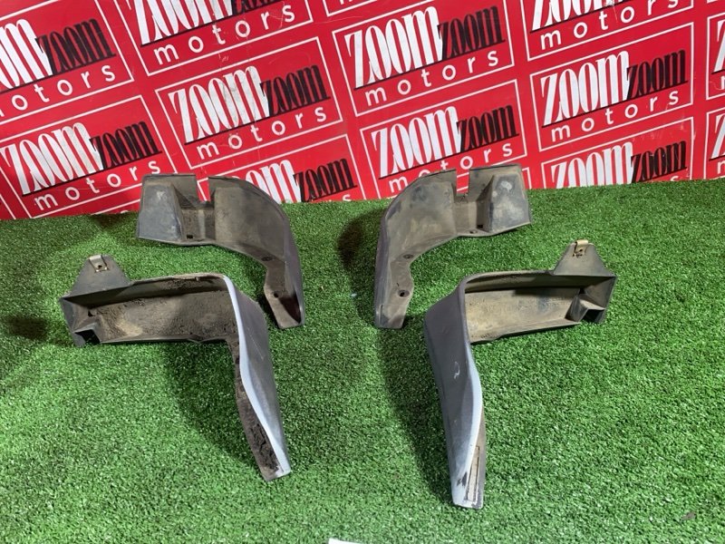 Брызговик, 1000 рублей, Солонцы