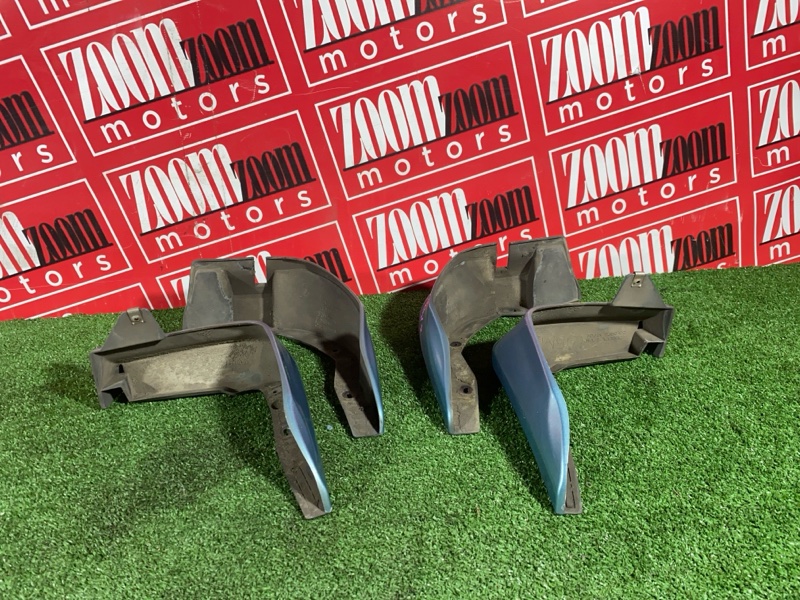 Брызговик, 1000 рублей, Солонцы