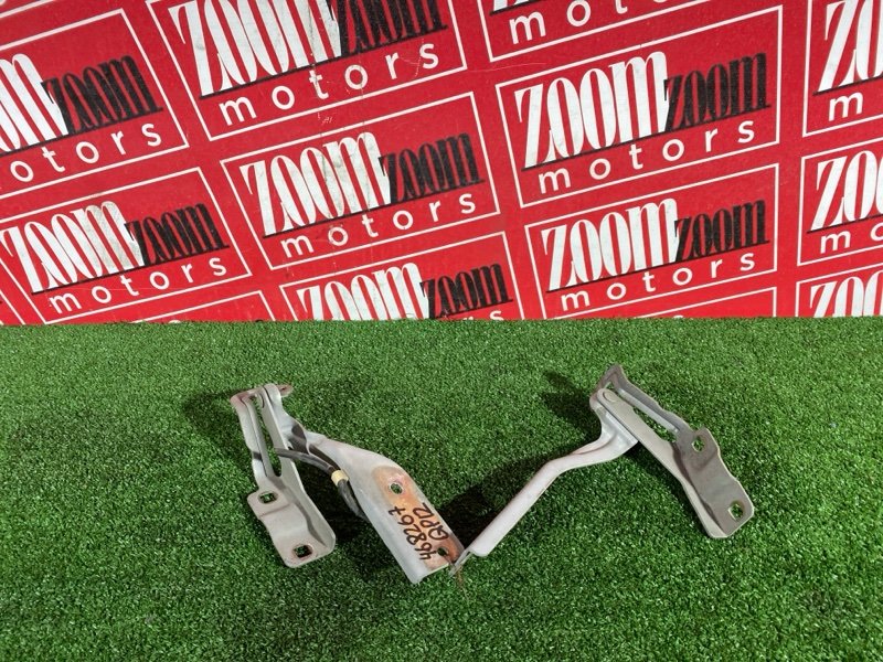 Петля (Шарнир капота), 500 рублей, Солонцы