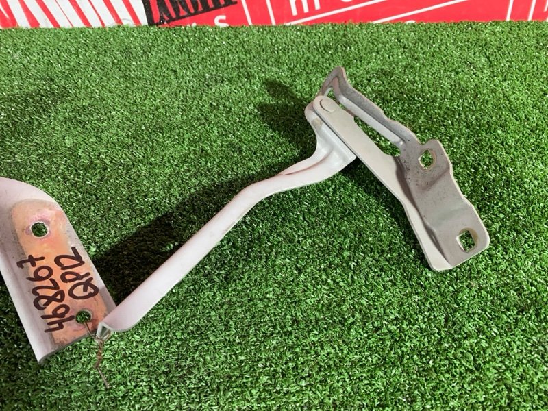 Петля (Шарнир капота), 500 рублей, Солонцы