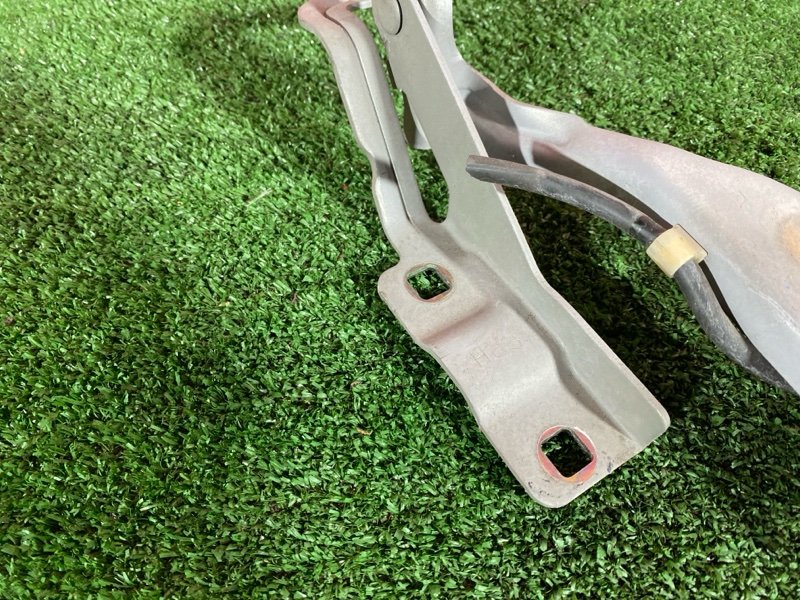 Петля (Шарнир капота), 500 рублей, Солонцы